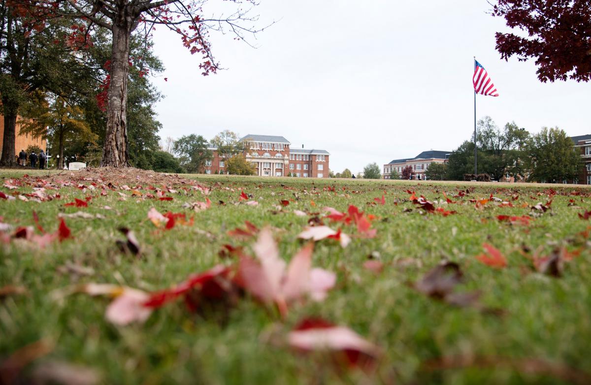 Drill field with leaves in fall